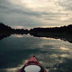 Meet your Posher, Drew